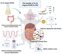 Graphical abstract: Selenium-enriched Bifidobacterium longum DD98 relieves irritable bowel syndrome induced by chronic unpredictable mild stress in mice