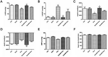 Graphical abstract: Daidzein ameliorates doxorubicin-induced cardiac injury by inhibiting autophagy and apoptosis in rats