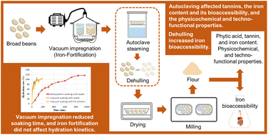 Graphical abstract: Vacuum impregnation as a sustainable technology to obtain iron-fortified broad bean (Vicia faba) flours