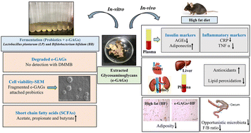 Graphical abstract: In vitro fermentation of glycosaminoglycans from mackerel fish waste and its role in modulating the antioxidant status and gut microbiota of high fat diet-fed C57BL/6 mice