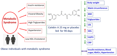 Graphical abstract: A minor metabolite from Curcuma longa effective against metabolic syndrome: results from a randomized, double-blind, placebo-controlled clinical study