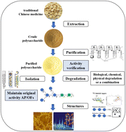 Graphical abstract: Structure–effect relationship studies of polysaccharides based on receptor–active centres: an alternative view