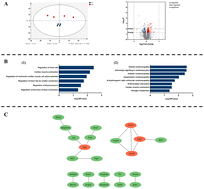 Graphical abstract: Marginal zinc deficiency alters the heart proteome of rats