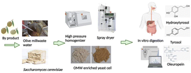 Graphical abstract: Microencapsulation of olive mill wastewater in Saccharomyces cerevisiae cells by spray drying and in vitro bioaccessibility of phenolic compounds