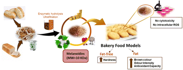 Graphical abstract: Bread melanoidins as potential new sustainable bakery ingredients: a study using fat and fat-free bakery food models