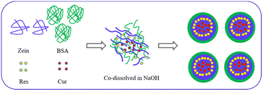 Graphical abstract: Co-encapsulation of curcumin and resveratrol in zein-bovine serum albumin nanoparticles using a pH-driven method