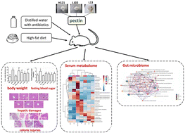 Graphical abstract: The effects of pectin on the gut microbiota and serum metabolites in mice fed with a high fat diet and exposed to low-dose antibiotics