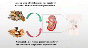 Graphical abstract: Associations between grain intake and hospitalized nephrolithiasis in Chinese adults: a case-control study