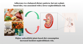 Graphical abstract: Associations between dietary patterns and nephrolithiasis risk in a large Chinese cohort: is a balanced or plant-based diet better?