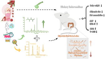 Graphical abstract: GABA and fermented litchi juice enriched with GABA promote the beneficial effects in ameliorating obesity by regulating the gut microbiota in HFD-induced mice