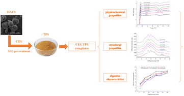 Graphical abstract: Effect of tea polyphenols on the physicochemical, structural and digestive properties of modified high amylose corn starch