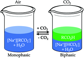 Graphical abstract: Amine-free CO2-switchable hydrophilicity solvents and their application in extractions and polymer recycling