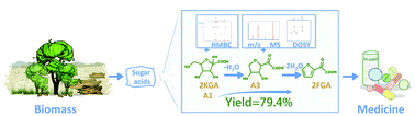 Graphical abstract: Application of sugar-containing biomass: one-step synthesis of 2-furylglyoxylic acid and its derivatives from a vitamin C precursor