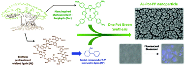 Graphical abstract: One-pot synthesis to prepare lignin/photoacid nanohybrids for multifunctional biosensors and photo-triggered singlet oxygen generation