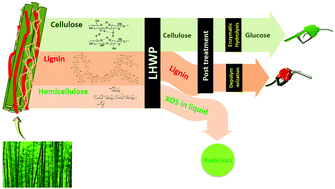 Graphical abstract: Valorization of bamboo biomass using combinatorial pretreatments
