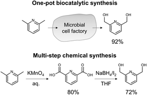 Graphical abstract: Efficient synthesis of 2,6-bis(hydroxymethyl)pyridine using whole-cell biocatalysis