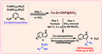 Graphical abstract: Cobalt-catalysed CH-alkylation of indoles with alcohols by borrowing hydrogen methodology