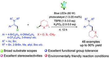 Graphical abstract: Transition-metal-free regioselective and stereoselective C(sp2)–C(sp3) coupling of enamides with ethers or alkanes via photoredox-catalyzed cross-dehydrogenative coupling reactions