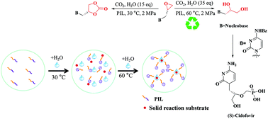 Graphical abstract: Synthesis of nucleoside-substituted carbonate and diol derivatives through the carbon dioxide reaction using polyionic liquid catalysts