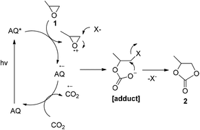 Graphical abstract: Metal-free, redox-neutral, and visible light-triggered coupling of CO2 with epoxides to cyclic carbonates at atmospheric pressure