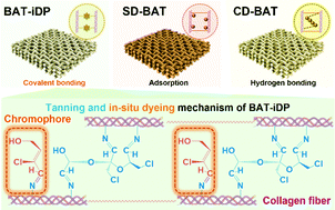 Graphical abstract: Biomass-derived aldehyde tanning agents with in situ dyeing properties: a ‘Two Birds with One Stone’ strategy for engineering chrome-free and dye-free colored leather