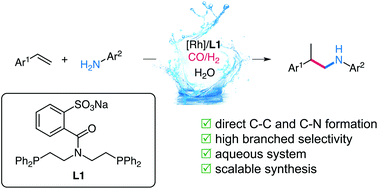 Graphical abstract: Water-soluble diphosphine ligands for rhodium-catalyzed branch-selective hydroaminomethylation of vinyl arenes with anilines in water