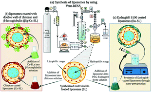 Graphical abstract: Venturi-based rapid expansion of supercritical solution (Vent-RESS): synthesis of liposomes for pH-triggered delivery of hydrophilic and lipophilic bioactives