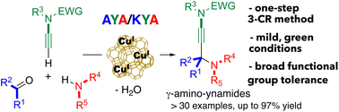 Graphical abstract: From A3/KA2 to AYA/KYA multicomponent coupling reactions with terminal ynamides as alkyne surrogates – a direct, green route to γ-amino-ynamides