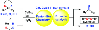 Graphical abstract: Fenton-like chemistry enables catalytic oxidative desulfurization of thioacetals and thioketals with hydrogen peroxide