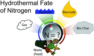Graphical abstract: Elucidating the role of reactive nitrogen intermediates in hetero-cyclization during hydrothermal liquefaction of food waste