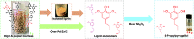 Graphical abstract: Catalytic conversion of high S-lignin to a sustainable tri-epoxide polymer precursor