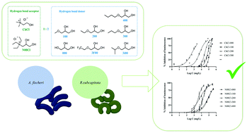 Graphical abstract: Ecotoxicological study of bio-based deep eutectic solvents formed by glycerol derivatives in two aquatic biomodels