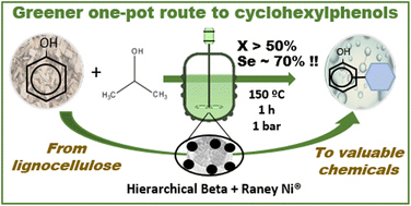 Graphical abstract: One-pot synthesis of cyclohexylphenol via isopropyl alcohol-assisted phenol conversion using the tandem system RANEY® Nickel plus hierarchical Beta zeolite