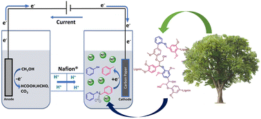 Graphical abstract: Development of a Ni-promoted, selective electrochemical reductive cleavage of the C–O bond in lignin model compound benzyl phenyl ether