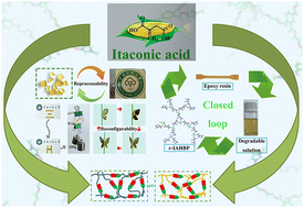 Graphical abstract: Itaconic acid-based hyperbranched polymer toughened epoxy resins with rapid stress relaxation, superb solvent resistance and closed-loop recyclability