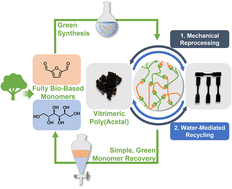 Graphical abstract: Fully biomass-derived vitrimeric material with water-mediated recyclability and monomer recovery