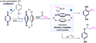 Graphical abstract: Sustainable photoredox chemistry of a transient ternary complex: an unconventional approach toward trifluoromethylated hydroquinones