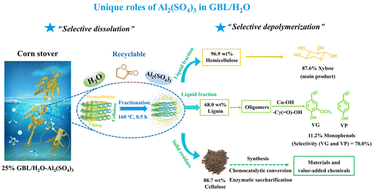 Graphical abstract: A hemicellulose and lignin-first process for corn stover valorization catalyzed by aluminum sulfate in γ-butyrolactone/water co-solvent