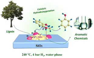 Graphical abstract: Efficient hydrodeoxygenation of guaiacol to phenol over Ru/Ti–SiO2 catalysts: the significance of defect-rich TiOx species