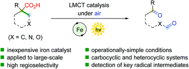 Graphical abstract: Iron-catalyzed ring-opening of cyclic carboxylic acids enabled by photoinduced ligand-to-metal charge transfer