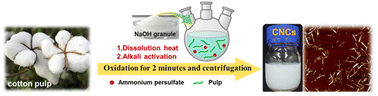 Graphical abstract: Ultrafast and energy-saving extraction of cellulose nanocrystals