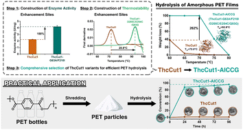 Graphical abstract: Depolymerization of post-consumer PET bottles with engineered cutinase 1 from Thermobifida cellulosilytica