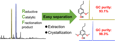 Graphical abstract: Isolation and purification of 4-propylguaiacol and 4-propylsyringol by extraction and crystallization from the products of reductive catalytic fractionation processes