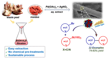 Graphical abstract: Bimetallic Pd–Ag nanoclusters decorated micro-cellulose bio-template towards efficient catalytic Suzuki–Miyaura coupling reaction of nitrogen-rich heterocycles