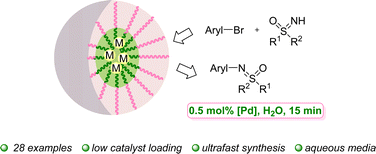 Graphical abstract: Ultrafast N-arylation of sulfoximines enabled by micellar catalysis in water