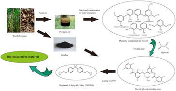 Graphical abstract: Study of green bio-oil-glyoxal novolac resins synthesis and its curing with bisphenol A diglycidyl ether and biochar