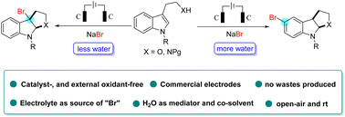 Graphical abstract: Water enables the tunable electrochemical synthesis of heterocyclic 3a- or 5a-bromoindolines