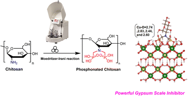 Graphical abstract: A sustainable approach to synthesize phosphonated chitosan using ball milling and its application for oilfield scale management