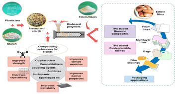 Graphical abstract: A review of biodegradable thermoplastic starches, their blends and composites: recent developments and opportunities for single-use plastic packaging alternatives