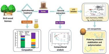 Graphical abstract: AqSO biorefinery: a green and parameter-controlled process for the production of lignin–carbohydrate hybrid materials
